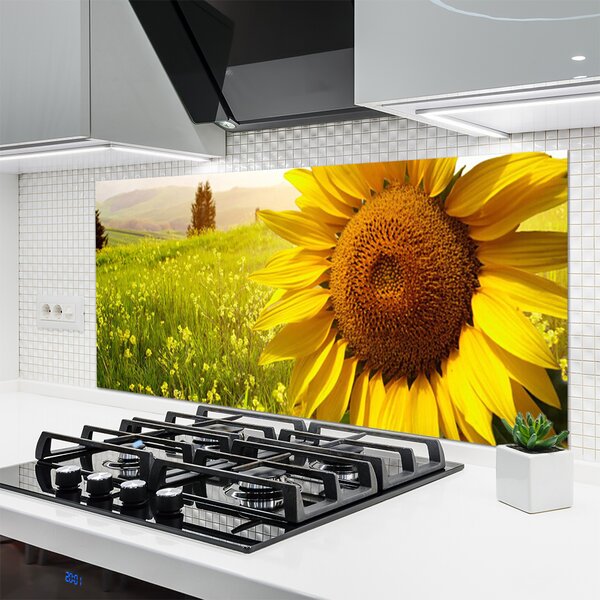 Panou sticla bucatarie Floarea soarelui Floral Galben Maro