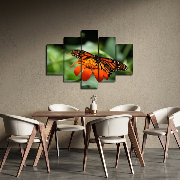 Tablou cu fluture pe floare (150x105 cm)