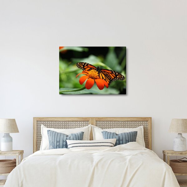 Tablou cu fluture pe floare (70x50 cm)