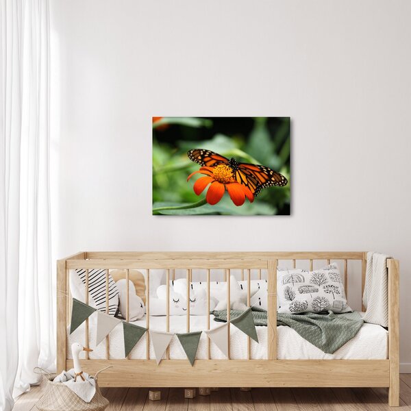 Tablou cu fluture pe floare (70x50 cm)