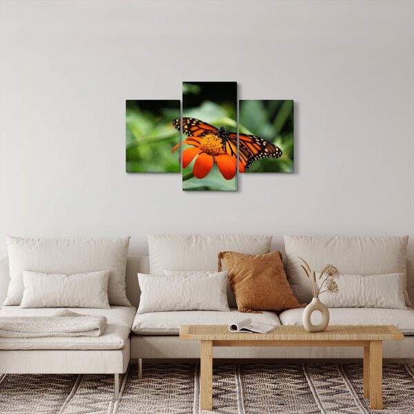 Tablou cu fluture pe floare (90x60 cm)