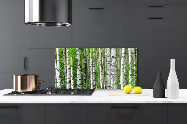 Panou sticla bucatarie Natural Pădurea Neagră Alb Verde