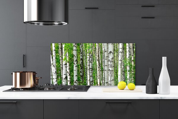 Panou sticla bucatarie Natural Pădurea Neagră Alb Verde