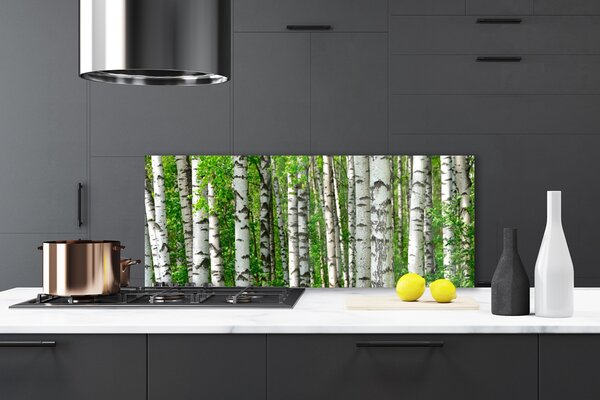 Panou sticla bucatarie Natural Pădurea Neagră Alb Verde