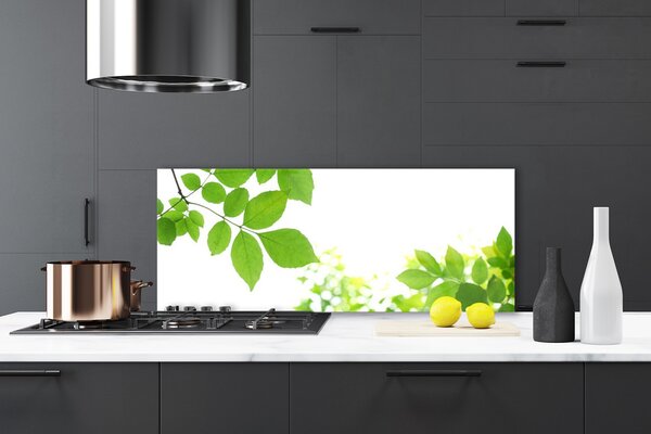 Panou sticla bucatarie Petale Floral Alb Verde