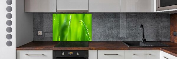 Panou sticlă decorativa bucătărie tineri ovăz
