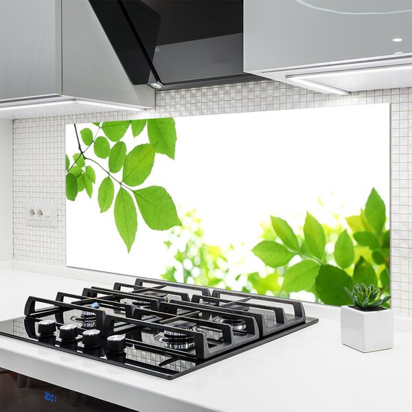 Panou sticla bucatarie Petale Floral Alb Verde