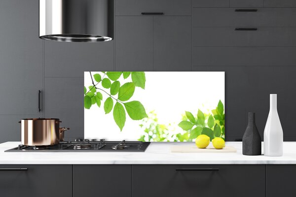 Panou sticla bucatarie Petale Floral Alb Verde