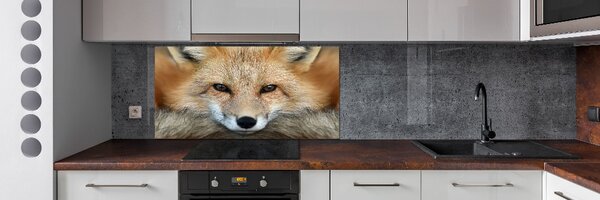 Panou sticla securizata bucatarie vulpe