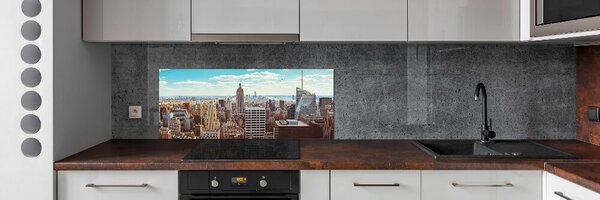 Panou sticla securizata bucatarie New York pasăre de zbor