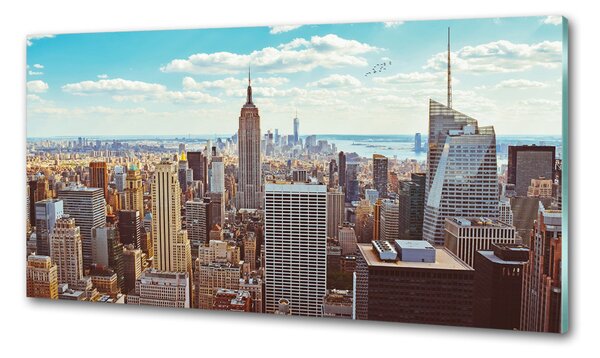 Panou sticla securizata bucatarie New York pasăre de zbor