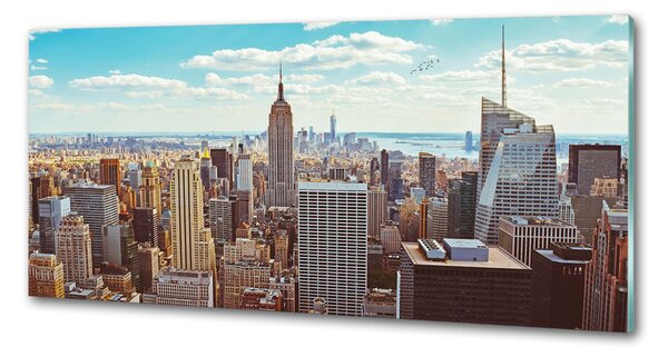 Panou sticla securizata bucatarie New York pasăre de zbor