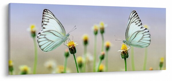 Tablou cu fluture pe floare (120x50 cm)
