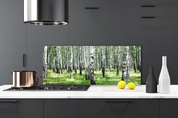 Panou sticla bucatarie Natural Pădurea Neagră Alb Verde