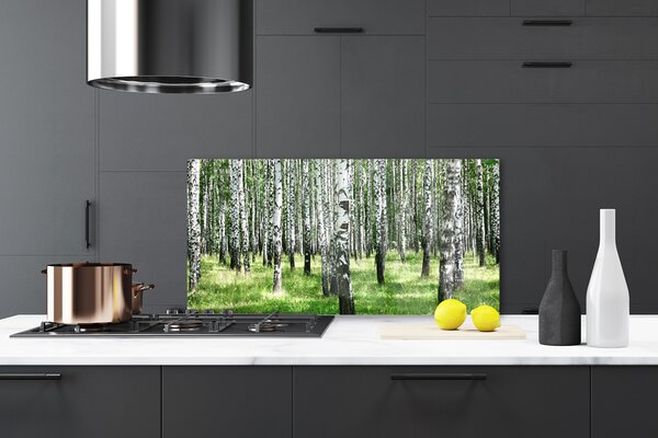 Panou sticla bucatarie Natural Pădurea Neagră Alb Verde