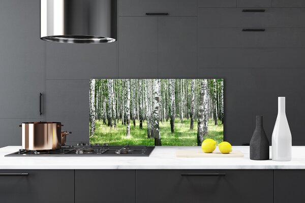 Panou sticla bucatarie Natural Pădurea Neagră Alb Verde