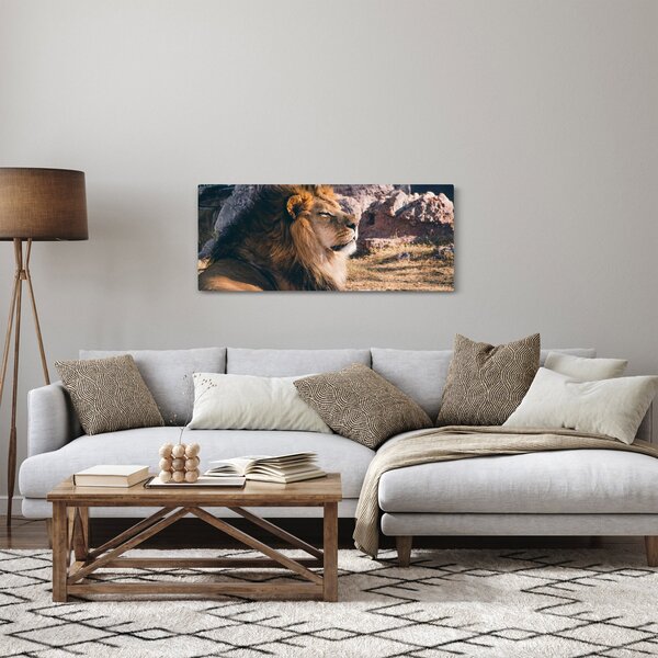 Tablou cu leul dormind (120x50 cm)