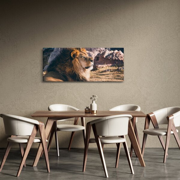 Tablou cu leul dormind (120x50 cm)
