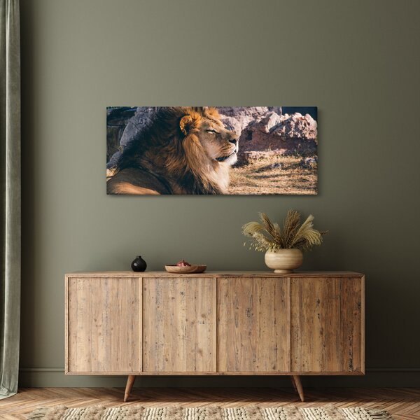 Tablou cu leul dormind (120x50 cm)