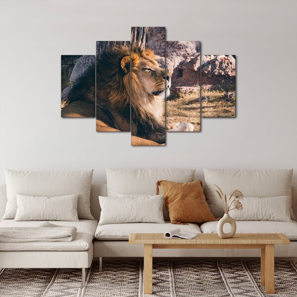 Tablou cu leul dormind (150x105 cm)