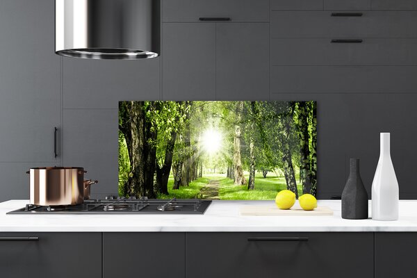 Panou sticla bucatarie Forest Soare Potecă Natura Brun Verde Galben