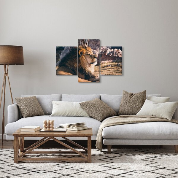 Tablou cu leul dormind (90x60 cm)