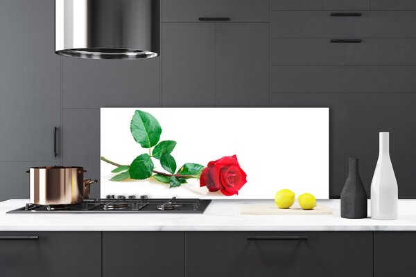 Panou sticla bucatarie Rose Floral Red