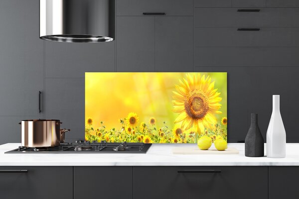 Panou sticla bucatarie Floarea soarelui Floral Galben Maro