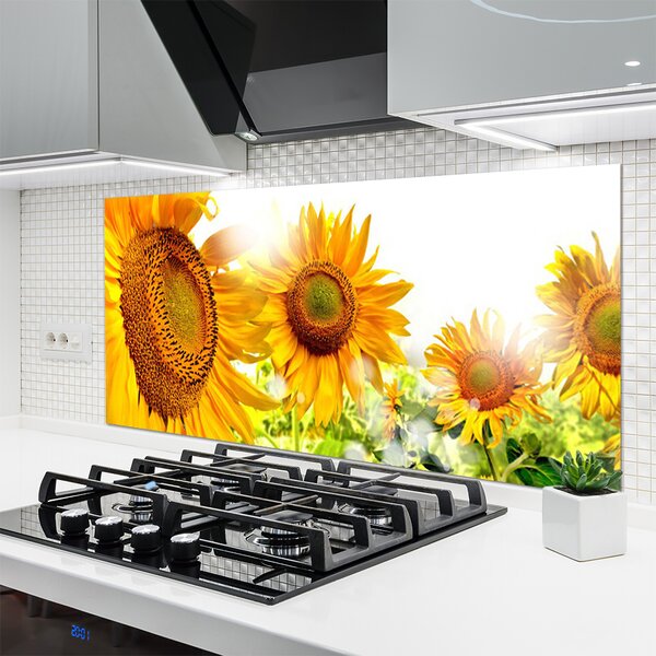 Panou sticla bucatarie Floarea soarelui Floral Galben Maro