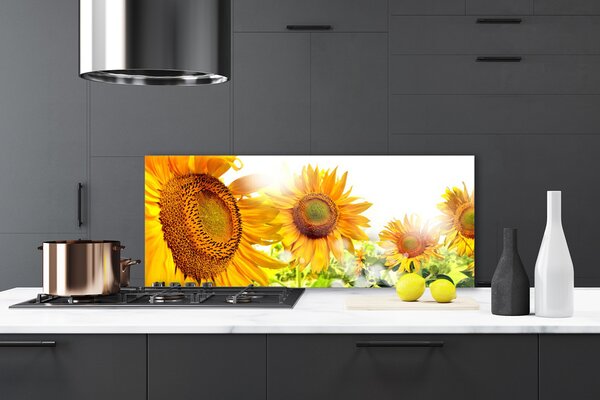 Panou sticla bucatarie Floarea soarelui Floral Galben Maro