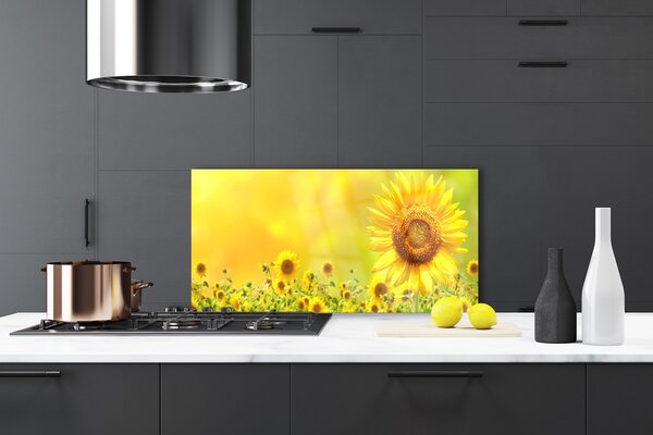 Panou sticla bucatarie Floarea soarelui Floral Galben Maro