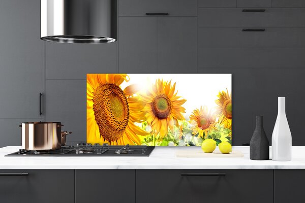 Panou sticla bucatarie Floarea soarelui Floral Galben Maro