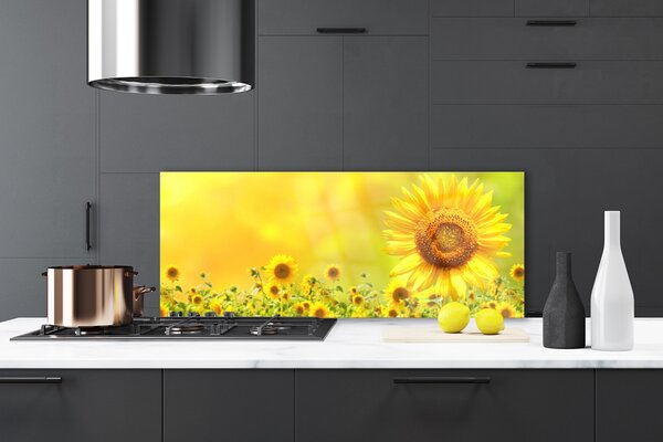 Panou sticla bucatarie Floarea soarelui Floral Galben Maro