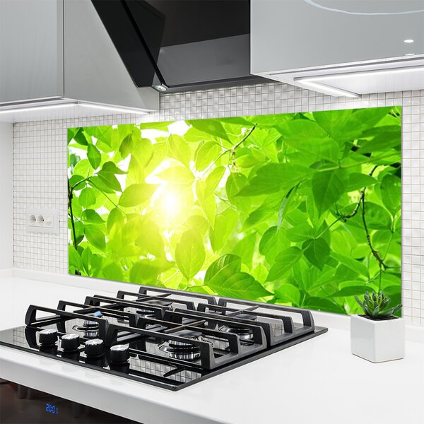 Panou sticla bucatarie Frunze verde florale