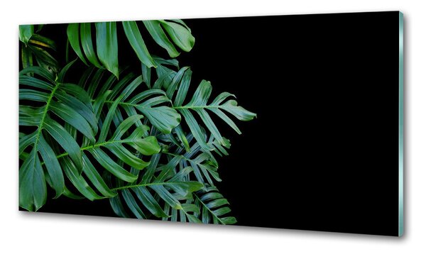 Sticlă pentru bucătărie Monstera