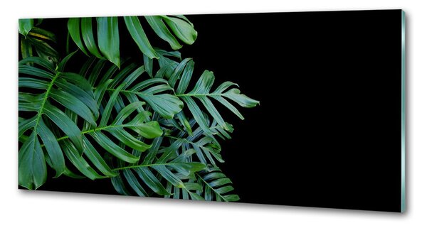 Sticlă pentru bucătărie Monstera
