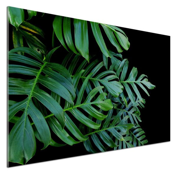 Sticlă pentru bucătărie Monstera