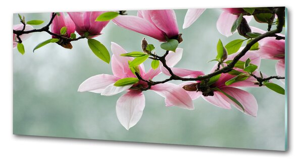 Sticlă bucătărie Magnolie