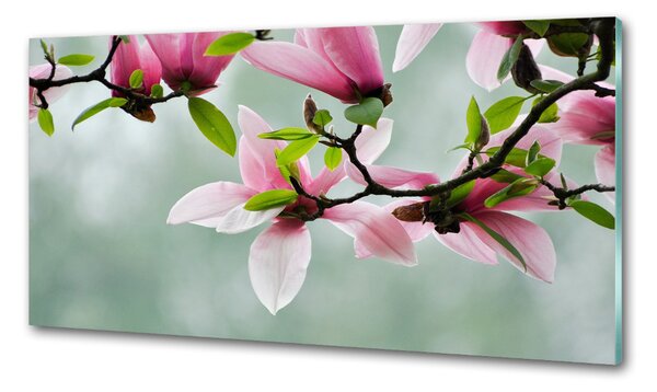 Sticlă bucătărie Magnolie