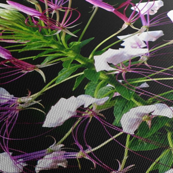Tablou cu floare (90x60 cm)