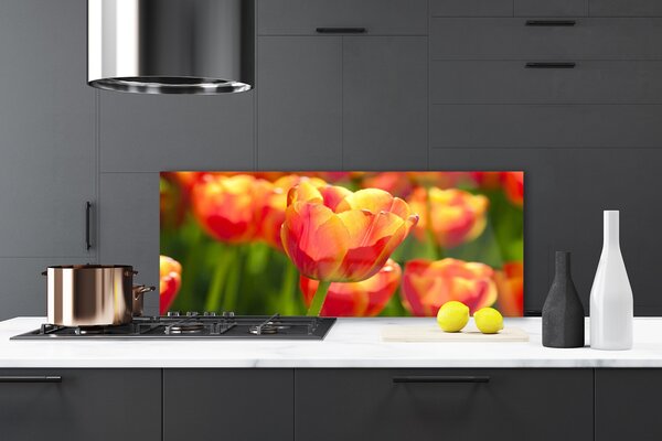Panou sticla bucatarie Lalele Floral Galben Rosu