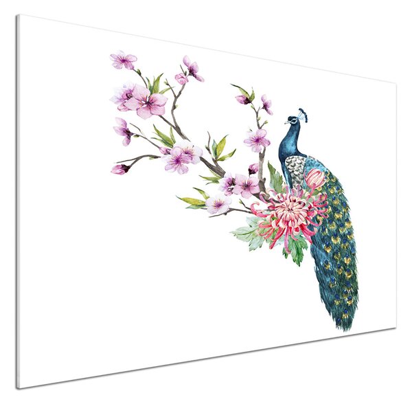 Panou sticlă decorativa bucătărie Peacock și flori