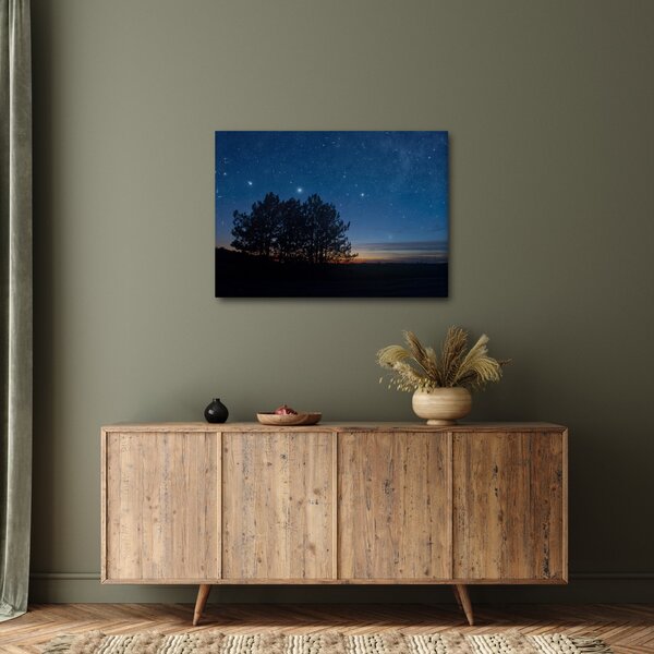 Tablou cu copaci noapte (70x50 cm)