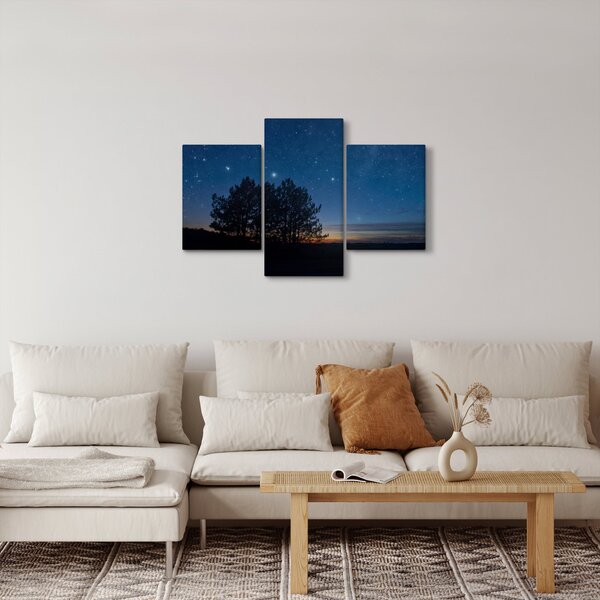 Tablou cu copaci noapte (90x60 cm)