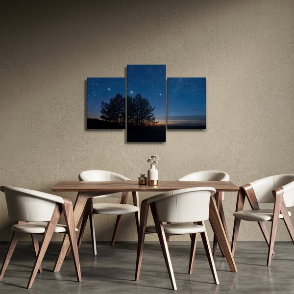 Tablou cu copaci noapte (90x60 cm)