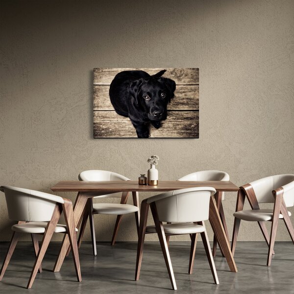 Tablou cu cățeluș negru (90x60 cm)