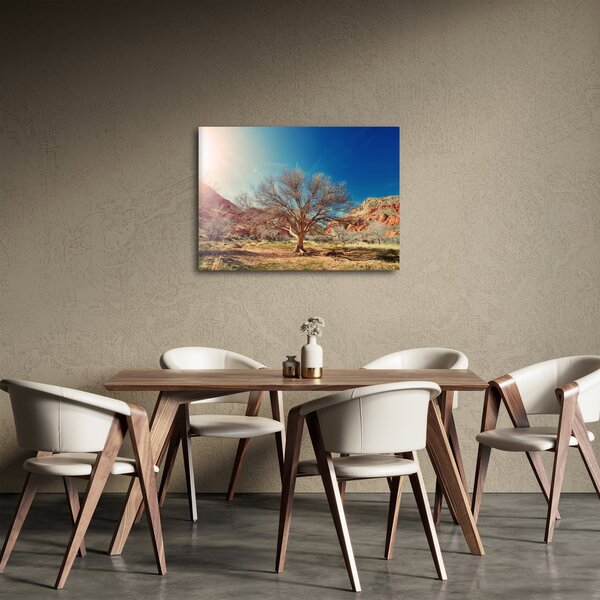 Tablou cu cu copac în deșert (70x50 cm)