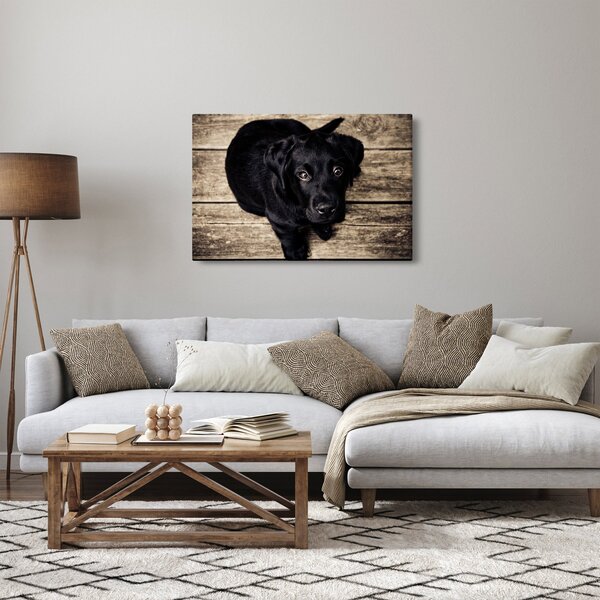 Tablou cu cățeluș negru (90x60 cm)