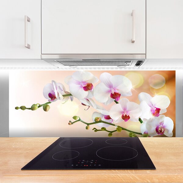 Panou sticla bucatarie Flori Floral Alb Roz