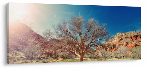 Tablou cu cu copac în deșert (120x50 cm)